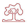 Comunidad Ashmont School